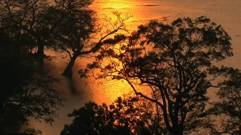 Sunset over the lake Vidéo 10764140