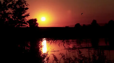 Sunset over the lake Stock Footage 26603721