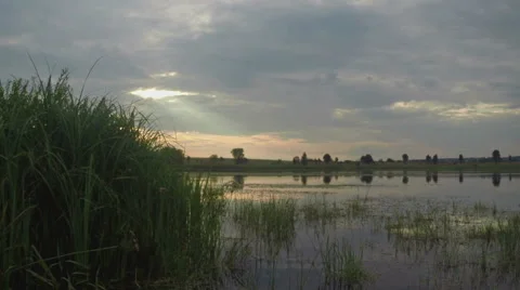 Sunset over the lake Stock Footage 40517506