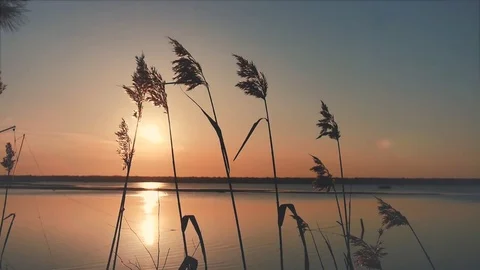 Sunset over the lake Stock Footage 73461735