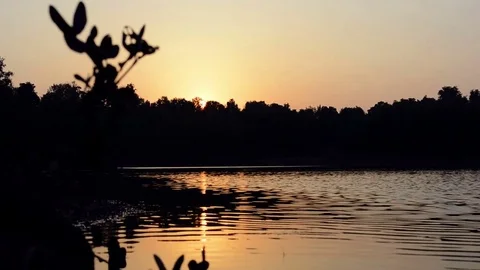 Sunset over the lake Stock Footage 81544073