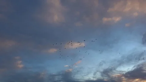 Sunset over the lake. Video stock 100297594