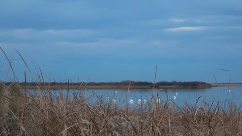 Sunset over the lake. Stock Footage 100297747