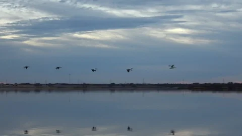 Sunset over the lake. Stock Footage 100297804