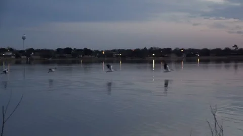 Sunset over the lake. Stock Footage 100297885