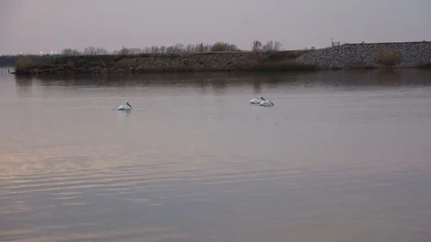 Sunset over the lake. Stock Footage 103389445