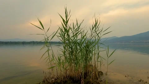 Sunset over the lake Stock Footage 212658095