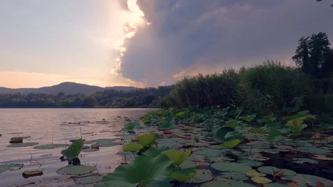 Sunset over the lake Stock Footage 225650582