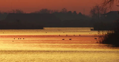 Sunset over the lake Stock Footage 253484372