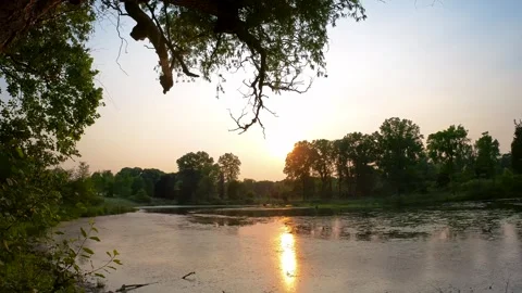 Sunset over lake at Matthaei Botanical Gardens in Ann Arbor, Michigan Video stock 277614979