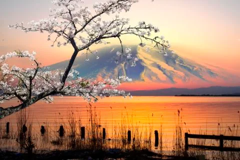 Sunset over lake Stock Photos