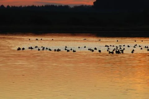 Sunset over the lake Stock Photos