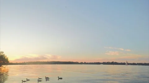 Sunset over lake in summer timelapse Vidéo 79811769