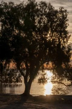 Sunset over lake with tree in foreground Stock Photos