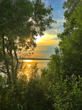 Sunset over the lake. View between the trees of grass. Stock Photos