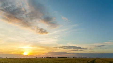 Sunset over a large field of wheat in summer, timelapse, 4k Stock-Footage 133182751