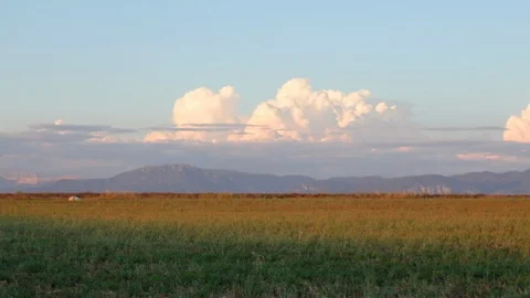 Sunset over the lavender fields in Valensole Plain of Provence Southern Franc 스톡 동영상 95254051