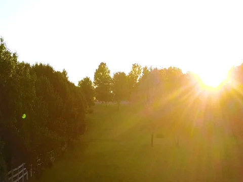 Sunset over lawn Stock Footage 76444259