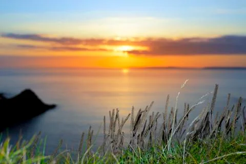Sunset over loop head with the wild tall grass Stock Photos