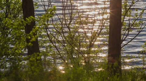 Sunset over the magical nature Stock Footage 37537164