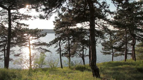 Sunset over the magical nature Stock Footage 37537766