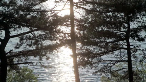 Sunset over the magical nature Stock Footage 37537872