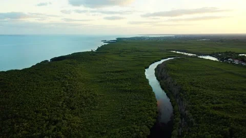 Sunset Over Mangrove Forest and Tidal Creek at Matheson Hammock Park Miami Stock Footage 323180714