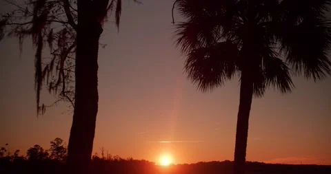 Sunset over the marsh between trees; Wilmington Island, GA Stock Footage 168737372