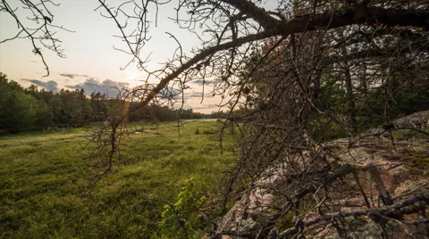 Sunset over marsh with diagonal dolly Stock-Footage 40431573