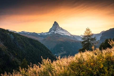 Sunset over Matterhorn, Iconic mountain peak and meadow in rural scene at Z.. Stock Photos