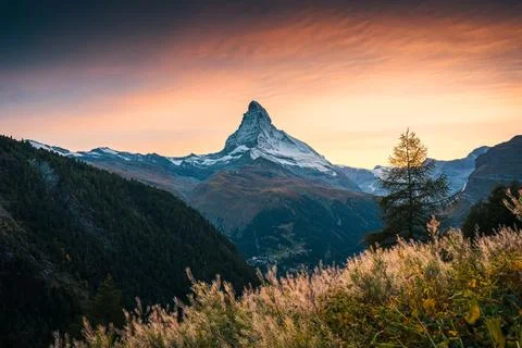 Sunset over Matterhorn, Iconic mountain peak and meadow in rural scene at Z.. Stock Photos