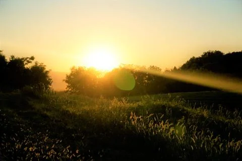 Sunset over meadow and trees in Ptuj Stock Photos