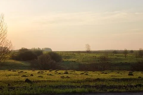 Sunset over the meadow in early spring. Landscape. Stock Photos