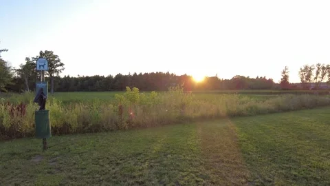 Sunset over meadow Stock Footage 157559297