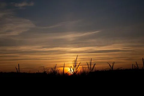 Sunset over meadow Stock Photos