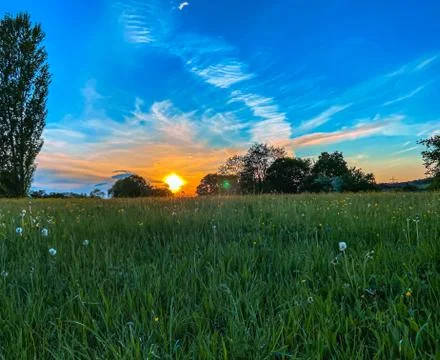 Sunset over a meadow Stock Photos