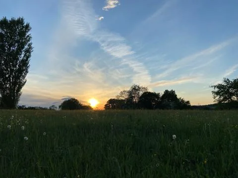 Sunset over a meadow Stock Photos