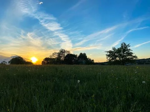 Sunset over a meadow Stock Photos