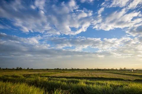 Sunset over meadow Stock-Fotos