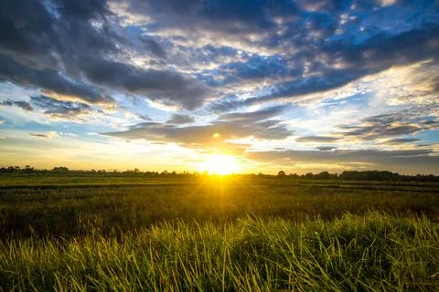Sunset over meadow. Foto stock