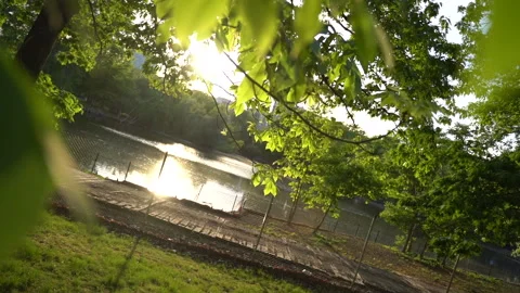 Sunset over a meadow in the spring with a lake and tree leaves Vídeo Stock 195531722