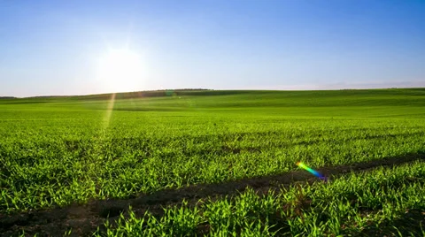 Sunset over meadow. Timelapse Stock Footage 37625050
