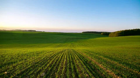 Sunset over meadow. Timelapse Stock Footage 37625054