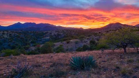 Sunset over Mount Wrightson Wilderness near Kentucky Camp, Arizona. Stock Photos
