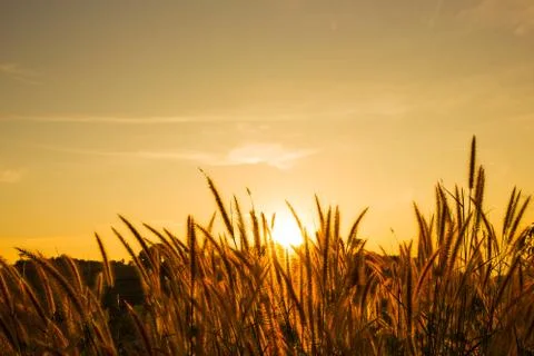 Sunset over mountain Stock Photos