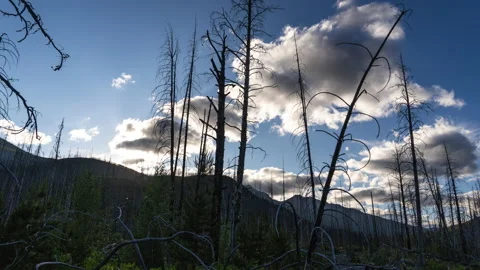 Sunset over mountain ridge with dead trees and clouds Stock Footage 167200270