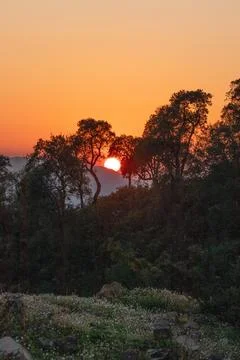 Sunset Over Mountain, Tree Silhouettes, Orange Sky, Algeria Stock Photos