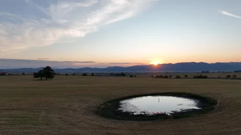 Sunset over the mountains in the background. With a stork standing in a puddle. Stock Footage 281009404