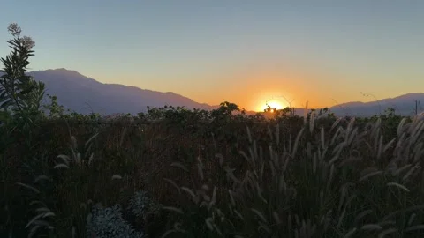 Sunset over the mountains in the desert. Stock Footage 320176015