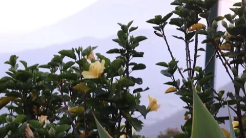 Sunset over the mountains of guatemala central america Stock Footage 199532218